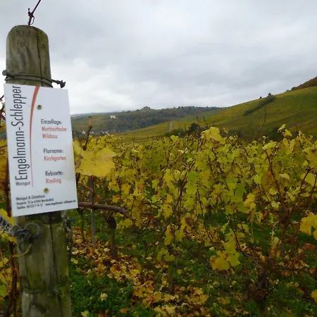 Πανσιόν Weingut & Gaestehaus Engelmann-schlepper 3*