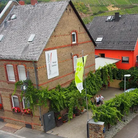 Weingut & Bioland Gaestehaus Engelmann-Schlepper 3*