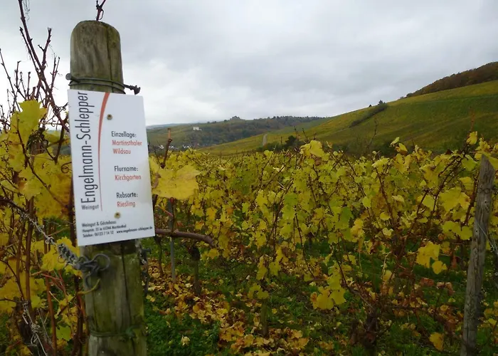 招待所 Weingut & Gaestehaus Engelmann-schlepper 3*