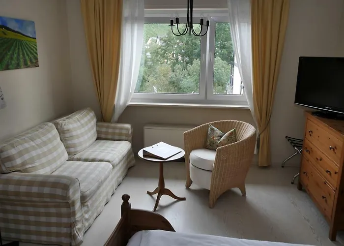 Weingut & Bioland Gaestehaus Engelmann-Schlepper 게스트하우스